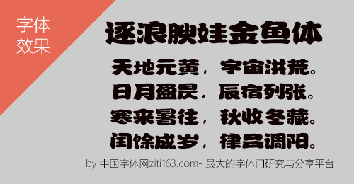 逐浪腴娃金鱼体